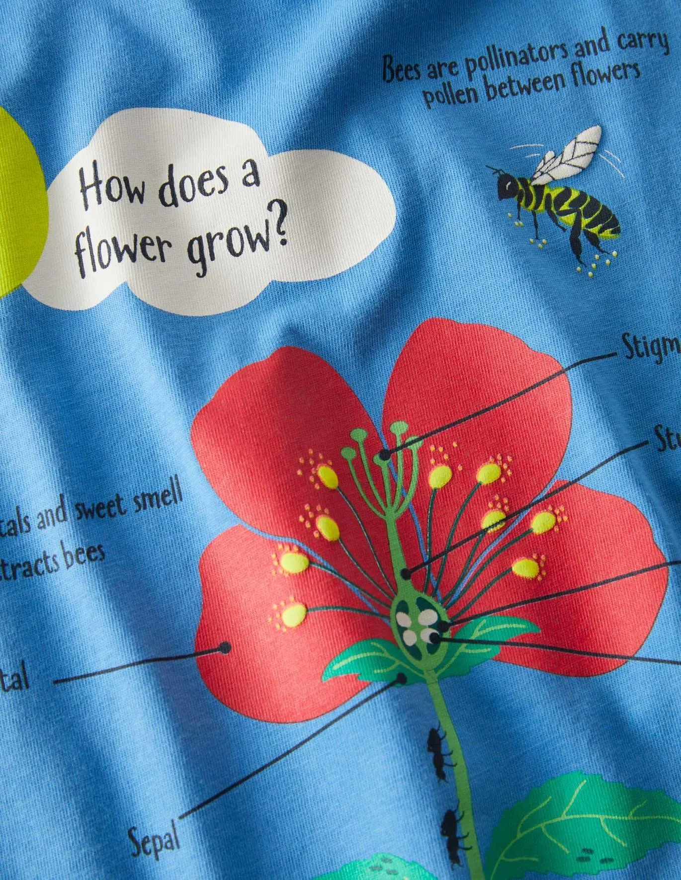 Animal Educational T-shirt - Image 5