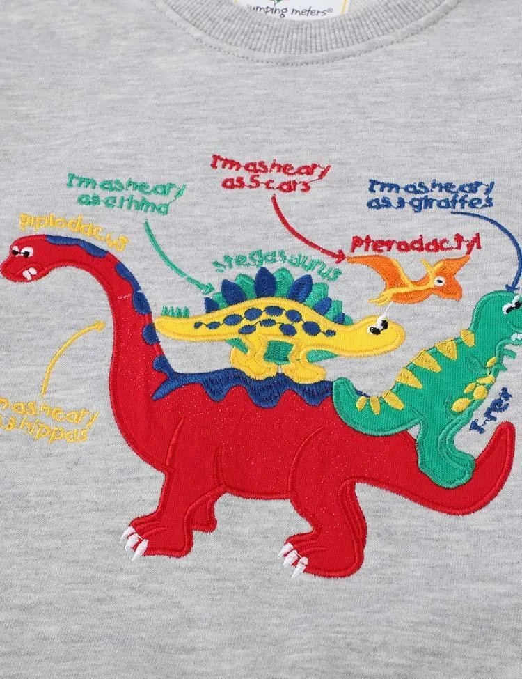 Dinosaur Embroidered Sweater - Image 3
