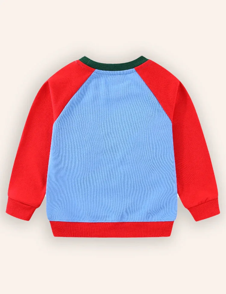 Dinosaur Embroidered Sweatshirt - Image 2