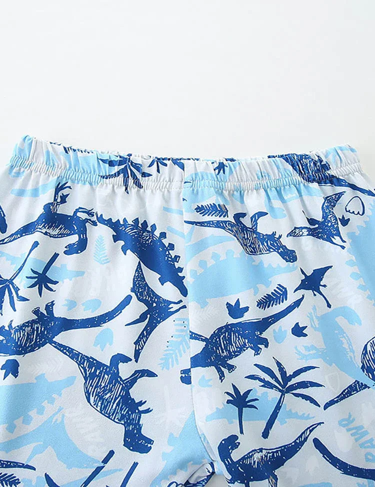 Dinosaur Print Short Sleeve T-Shirt and Shorts Set - Image 4