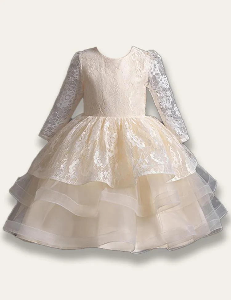 Lace Princess Party Dress - Image 2