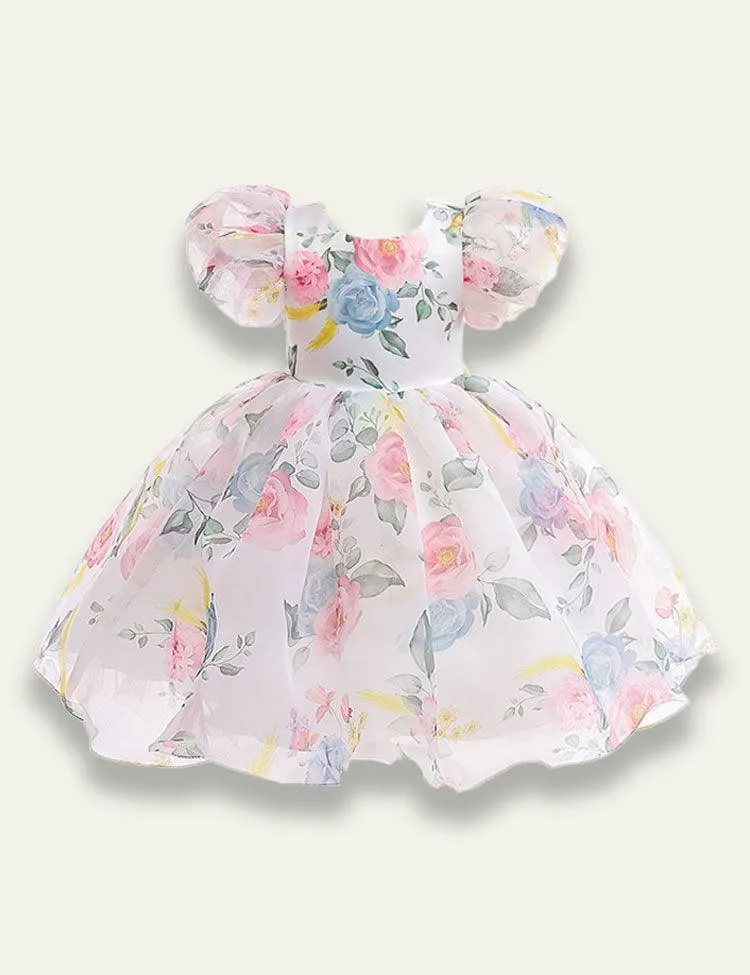 Puff Sleeve Floral Mesh Party Dress