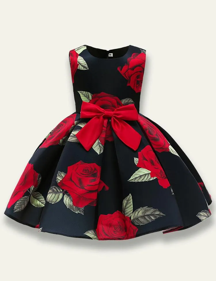 Rose Printed Party Dress