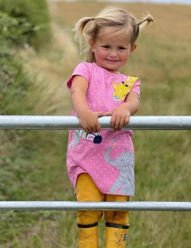 Zoo Appliqué Princess A- line Knitted Dress - Image 2