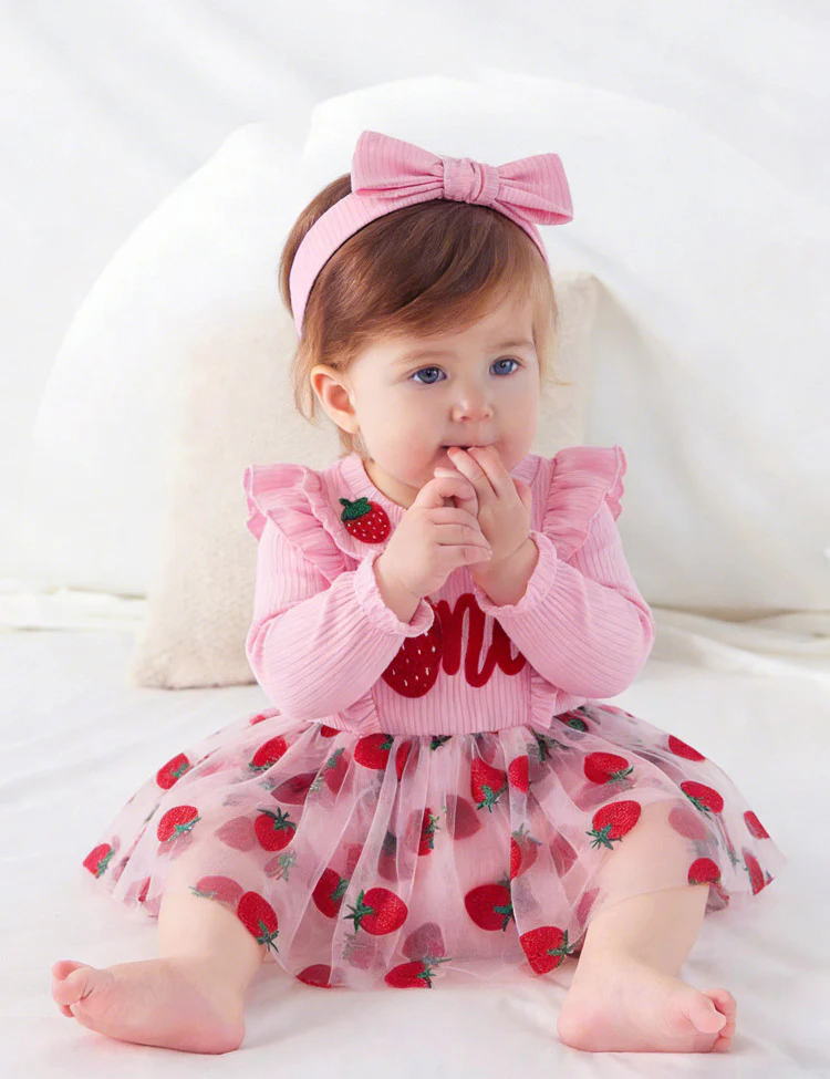 Strawberry Embroidered Tulle Cute Overall - Image 2