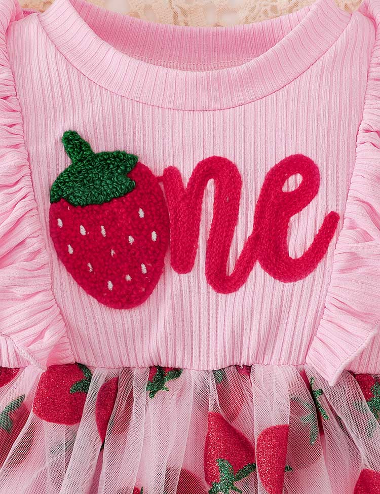 Strawberry Embroidered Tulle Cute Overall - Image 6